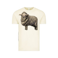 Vintage Arctic merino wool sheep Vintage Tee - LillyAllenDesigns