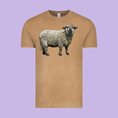 Hampshire Sheep Vintage Tee Designed By Lillyallendesigns