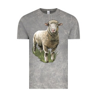 Cloud Rock dorset sheep Vintage Tee - LillyAllenDesigns
