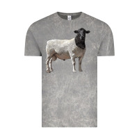 Cloud Rock dorper sheep Vintage Tee - LillyAllenDesigns