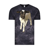 Cloud Black dorper baby sheep Vintage Tee - LillyAllenDesigns