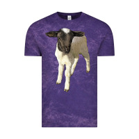 Cloud Purple dorper baby sheep Vintage Tee - LillyAllenDesigns