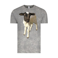Cloud Rock dorper baby sheep Vintage Tee - LillyAllenDesigns