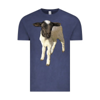 Vintage Denim dorper baby sheep Vintage Tee - LillyAllenDesigns