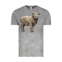Cloud Rock southdown sheep Vintage Tee - LillyAllenDesigns