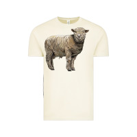 Vintage Arctic southdown sheep Vintage Tee - LillyAllenDesigns