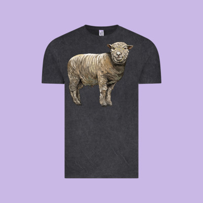 Southdown Sheep Vintage Tee Designed By Lillyallendesigns