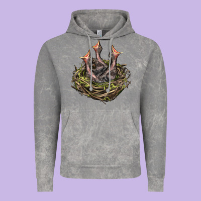 Bird Nest With Baby Birds Vintage Hoodie Designed By Lillyallendesigns