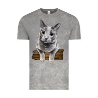 Cloud Rock Russian Blue Cat Face Vintage Tee - LillyAllenDesigns