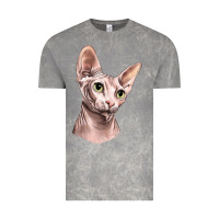 Cloud Rock Sphynx Cat Vintage Tee - LillyAllenDesigns