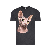 Vintage Black Sphynx Cat Vintage Tee - LillyAllenDesigns