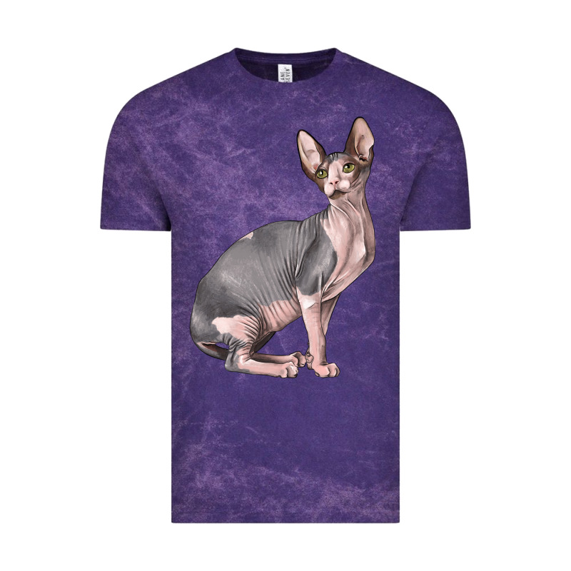 Sphynx Cat Vintage Tee by LillyAllenDesigns | Teevron