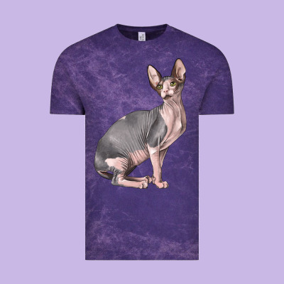 Sphynx Cat Vintage Tee Designed By Lillyallendesigns