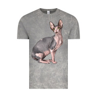 Cloud Rock Sphynx Cat Vintage Tee - LillyAllenDesigns