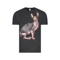 Vintage Black Sphynx Cat Vintage Tee - LillyAllenDesigns