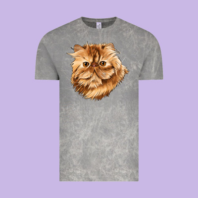 Persian Cat Face Vintage Tee Designed By Lillyallendesigns