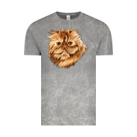 Cloud Rock Persian Cat Face Vintage Tee - LillyAllenDesigns