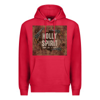 Cardinal holly spirit come like a flood Premium Hoodie - TumblerDesignByShophia