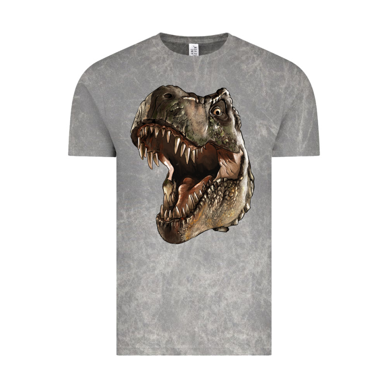 Tyrannosaurus T Rex Face Vintage Tee by LillyAllenDesigns | Teevron