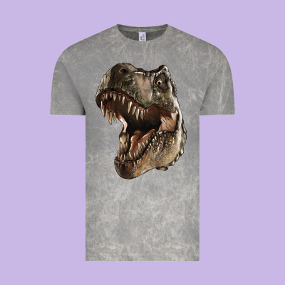 Tyrannosaurus T Rex Face Vintage Tee Designed By Lillyallendesigns