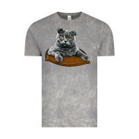 Cloud Rock Scottish Fold Vintage Tee - LillyAllenDesigns