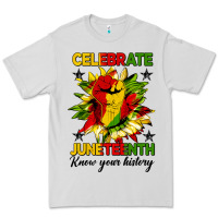 Dove Grey celebrate juneteenth know your history Premium Tee - HRA Design Shop