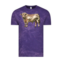 Charolais Bull Vintage Tee | Teevron