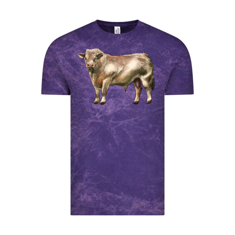 Charolais Bull Vintage Tee by LillyAllenDesigns | Teevron