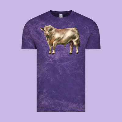 Charolais Bull Vintage Tee Designed By Lillyallendesigns