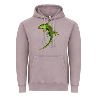 Vintage Zinc Green Lizard Illustrations Vintage Hoodie - LillyAllenDesigns