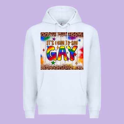 It's Okay To Say Gay Tumbler Premium Hoodie Designed By Jahusdesignshop
