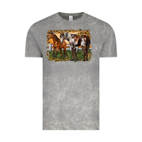 Cloud Rock 2 horses at the ranch Vintage Tee - LillyAllenDesigns