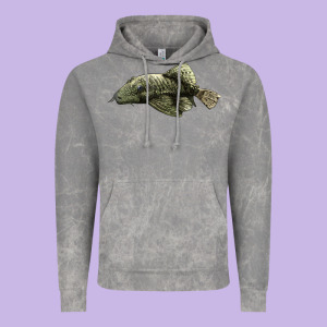 Bristlenose Placo Vintage Hoodie Designed By Lillyallendesigns
