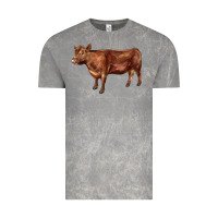 Cloud Rock red angus cow Vintage Tee - LillyAllenDesigns
