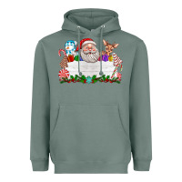 Sage custom name christmas Heavyweight Hoodie - texasbilliewilder