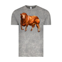 Cloud Rock red angus bull Vintage Tee - LillyAllenDesigns