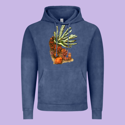 Coral Reef Vintage Hoodie Designed By Lillyallendesigns
