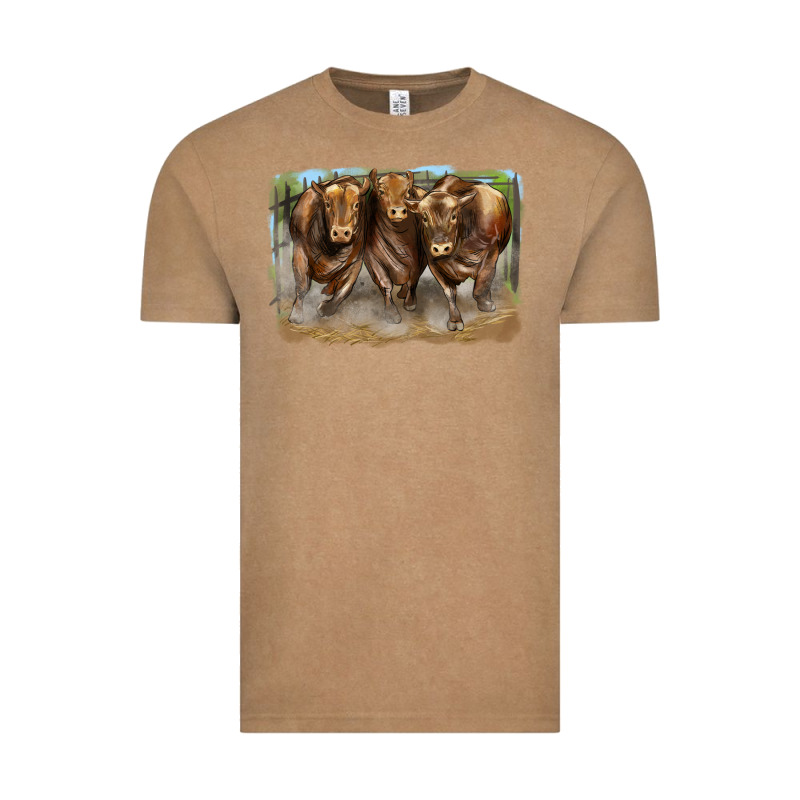 3 Red Angus Bulls Vintage Tee by LillyAllenDesigns | Teevron