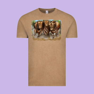 3 Red Angus Bulls Vintage Tee Designed By Lillyallendesigns