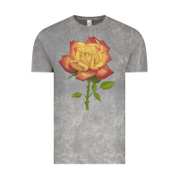 Cloud Rock rainbow's end rose Vintage Tee - LillyAllenDesigns