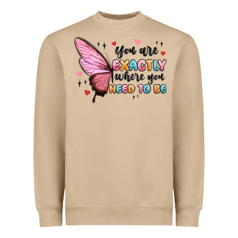 You Sre Exactly Where You Need To Be Heavyweight Sweatshirt by MaliasSmallBusiness | Teevron
