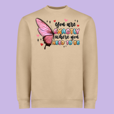 You Sre Exactly Where You Need To Be Heavyweight Sweatshirt Designed By Maliassmallbusiness