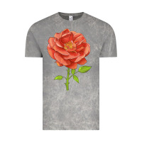Cloud Rock all a twitter rose Vintage Tee - LillyAllenDesigns