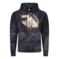 Cloud Black Hedgehog Illustrations Vintage Hoodie - LillyAllenDesigns