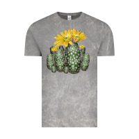 Cloud Rock texas rainbow cactus Vintage Tee - LillyAllenDesigns