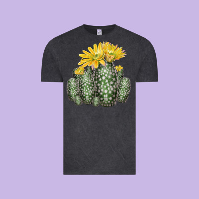 Texas Rainbow Cactus Vintage Tee Designed By Lillyallendesigns