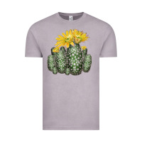 Vintage Zinc texas rainbow cactus Vintage Tee - LillyAllenDesigns