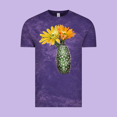 Texas Rainbow Cactus Vintage Tee Designed By Lillyallendesigns