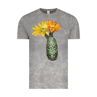 Cloud Rock texas rainbow cactus Vintage Tee - LillyAllenDesigns