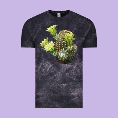 Nylon Hedgehog Cactus Vintage Tee Designed By Lillyallendesigns